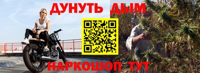 прущие крисы Малгобек