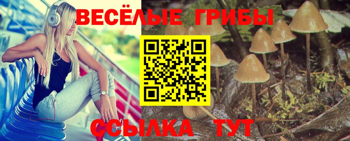 Псилоцибиновые грибы GOLDEN TEACHER  Вход с VPN  где продают наркотики  Гусев 